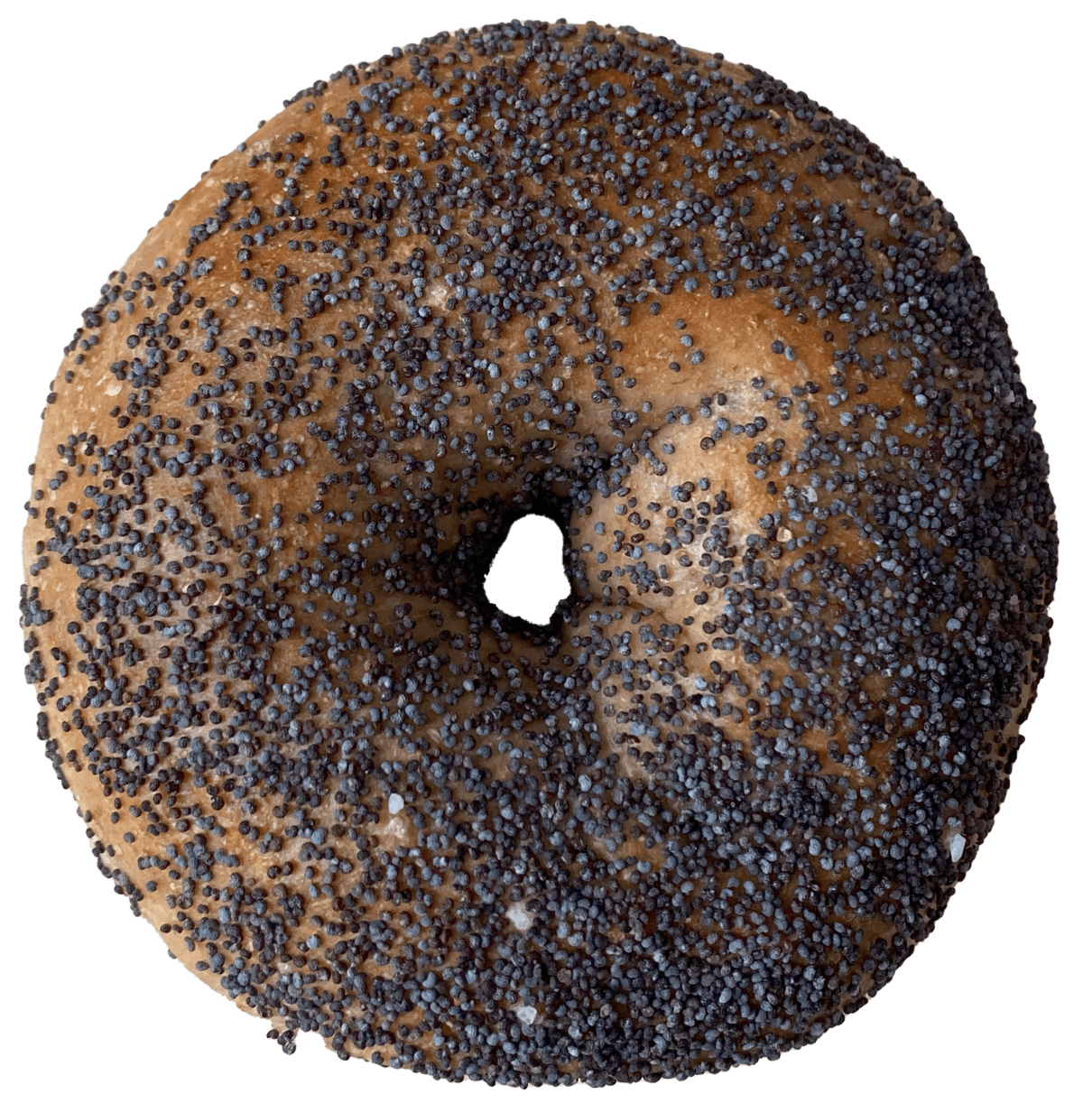 Gryfe's Bagel Bakery